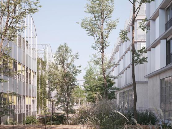 Permis de construire d&eacute;pos&eacute; pour le projet de construction de l'&icirc;lot 1 Capelle &agrave; B&egrave;gles !