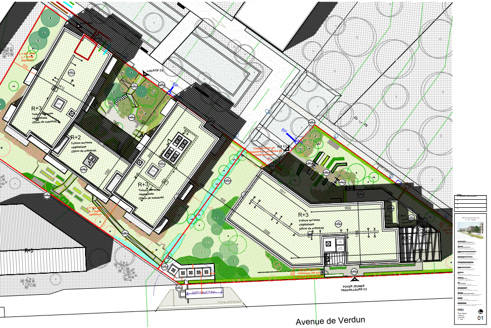 plan masse trilport